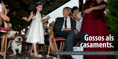 baner_casaments