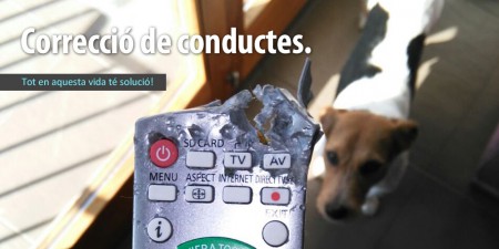 baner_correccio