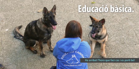 baner_educacio
