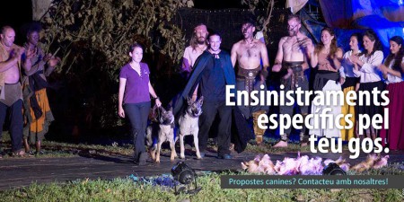 baner_ensinistraments
