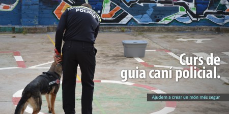 baner_policies