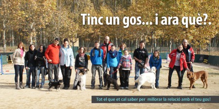 baner_tincungos