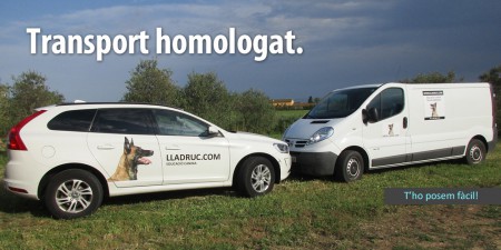 baner_transport