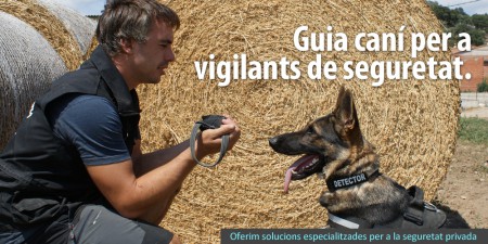 baner_vigilants