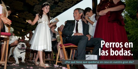 baner_bodas
