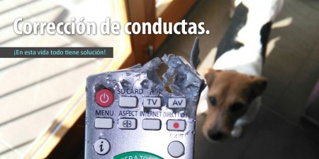 baner_correccion
