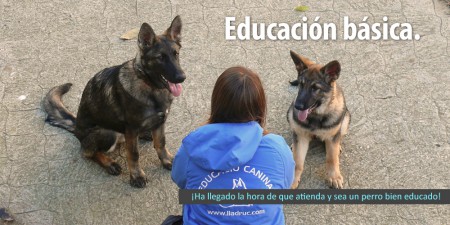 baner_educacion