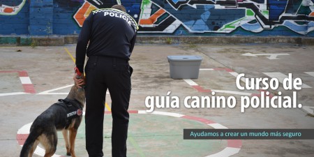baner_policias