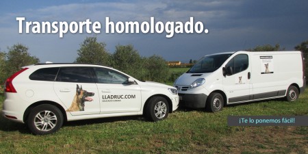 baner_transporte