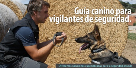 baner_vigilantes