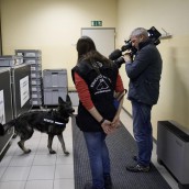 foto_tv_suiza