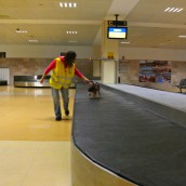 detectors009