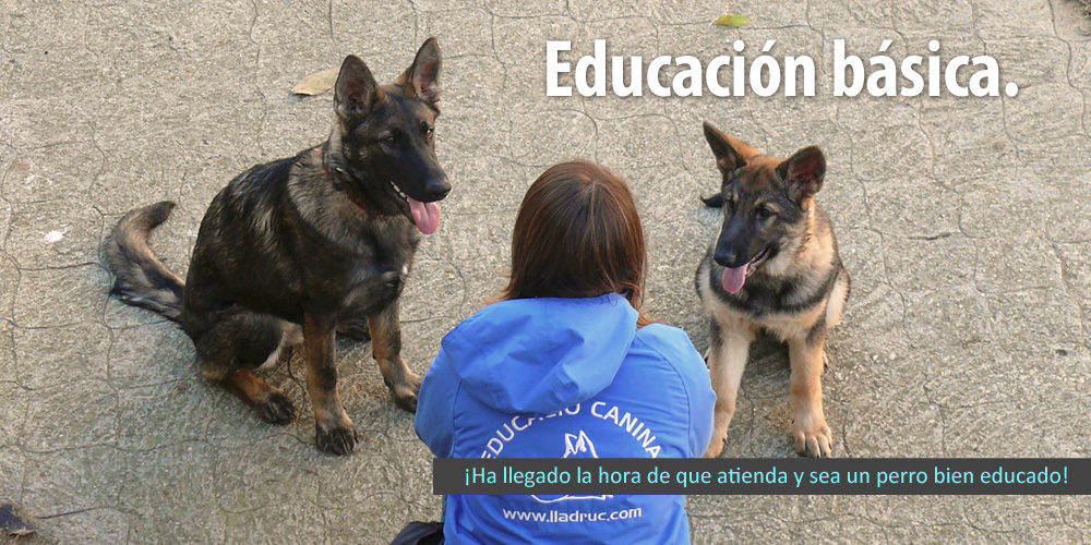 002baner_educacion