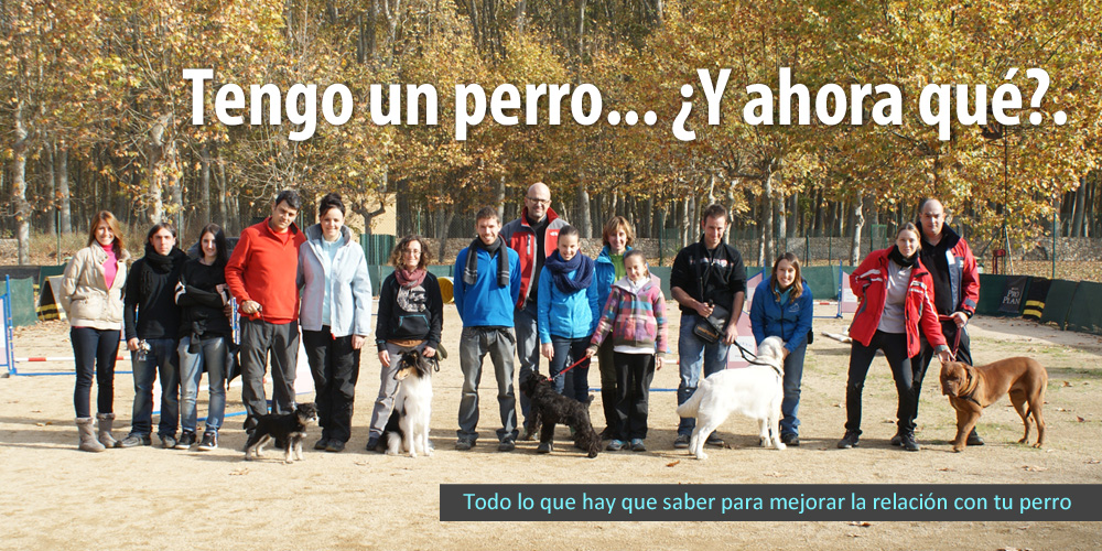 008baner_tengounperro