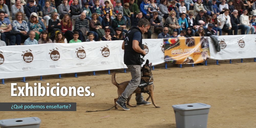 010baner_exhibiciones