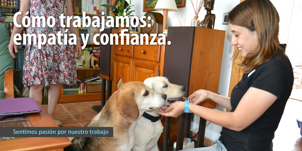 comotrabajamos