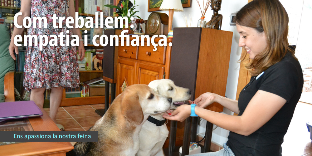 baner comtreballem