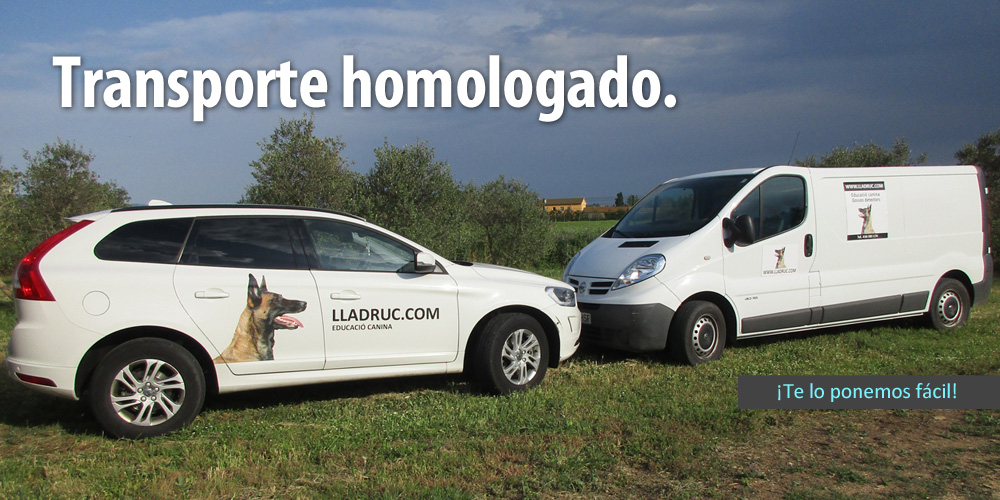 transporte