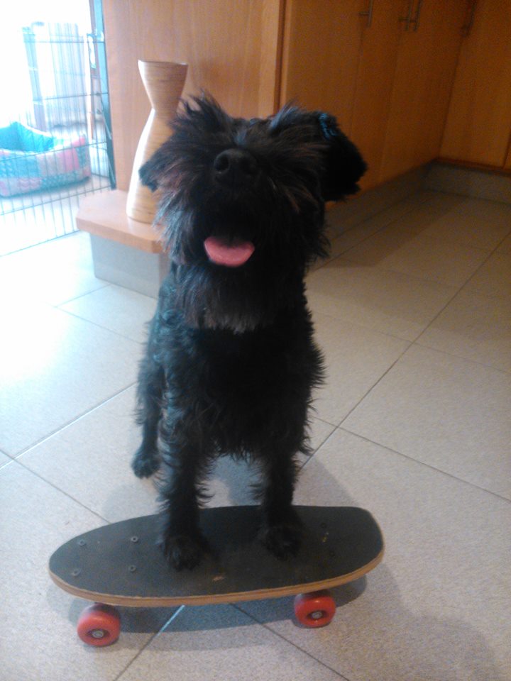 Nuca